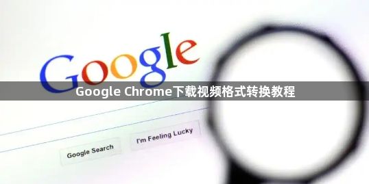 Google Chrome下载视频格式转换教程1