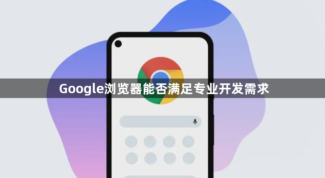 Google浏览器能否满足专业开发需求1