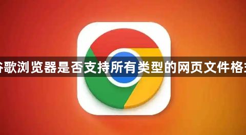 谷歌浏览器是否支持所有类型的网页文件格式1