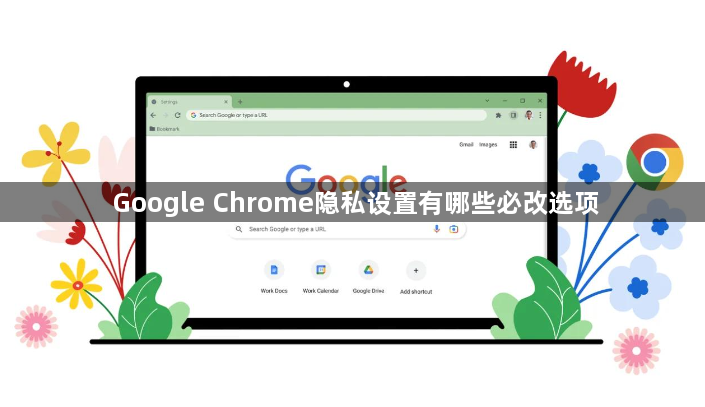 Google Chrome隐私设置有哪些必改选项1