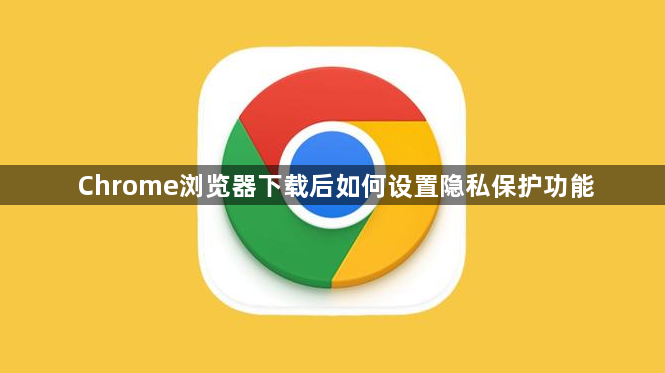 Chrome浏览器下载后如何设置隐私保护功能1