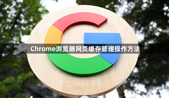Chrome浏览器网页缓存管理操作方法1