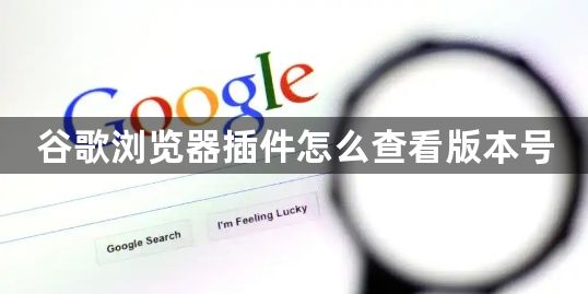 谷歌浏览器插件怎么查看版本号1