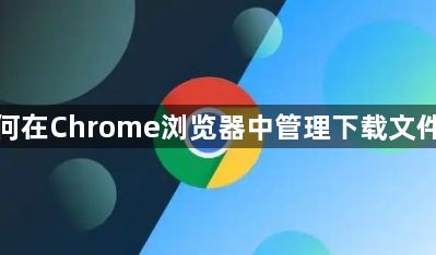 如何在Chrome浏览器中管理下载文件夹1