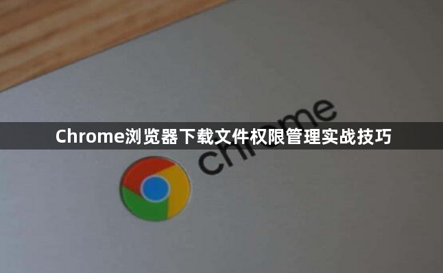 Chrome浏览器下载文件权限管理实战技巧1