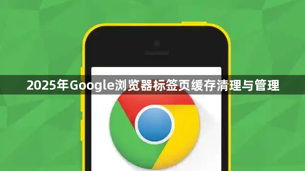 2025年Google浏览器标签页缓存清理与管理1