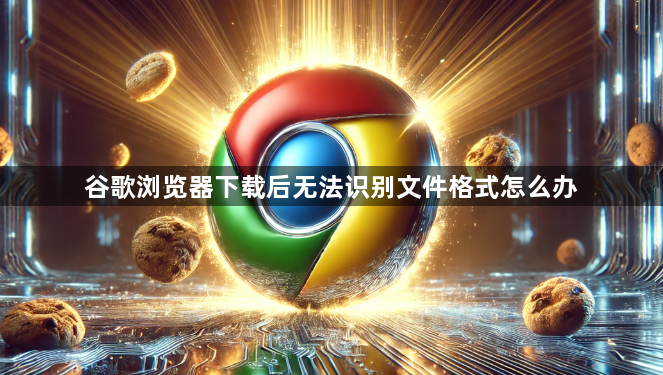 谷歌浏览器下载后无法识别文件格式怎么办1