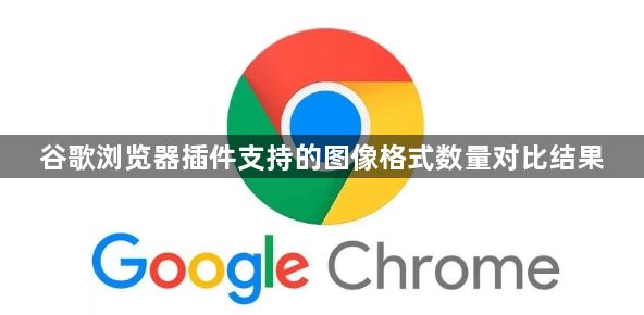 谷歌浏览器插件支持的图像格式数量对比结果1
