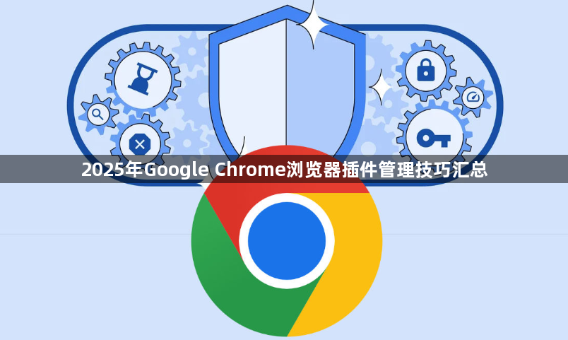 2025年Google Chrome浏览器插件管理技巧汇总1