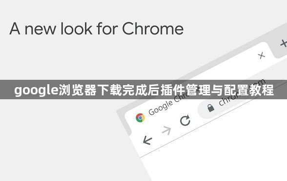 google浏览器下载完成后插件管理与配置教程1