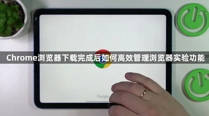 Chrome浏览器下载完成后如何高效管理浏览器实验功能1