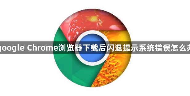 google Chrome浏览器下载后闪退提示系统错误怎么办1