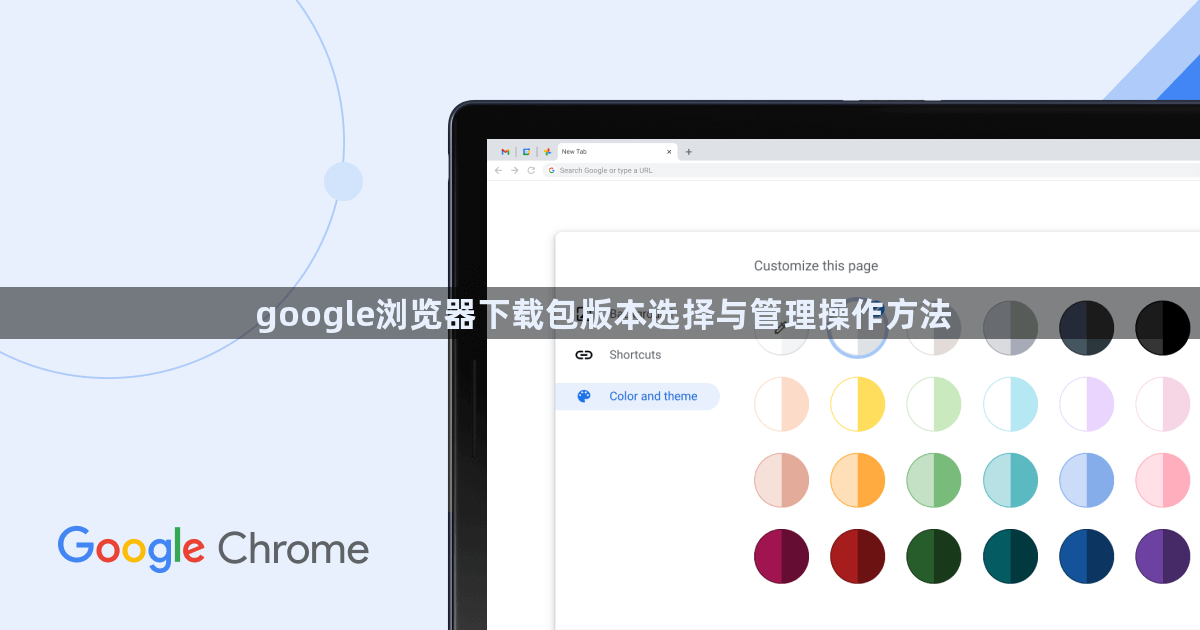 google浏览器下载包版本选择与管理操作方法1