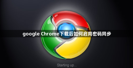 google Chrome下载后如何启用密码同步1
