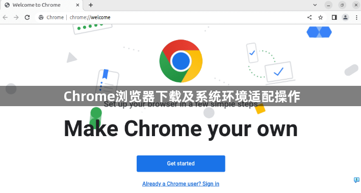 Chrome浏览器下载及系统环境适配操作1
