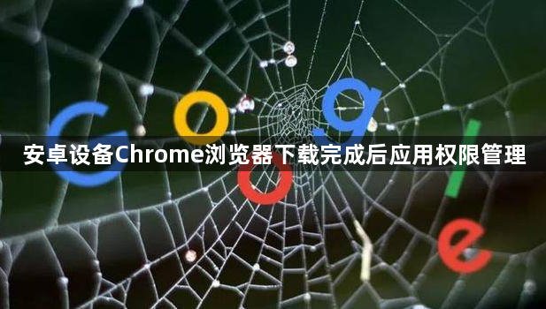 安卓设备Chrome浏览器下载完成后应用权限管理1