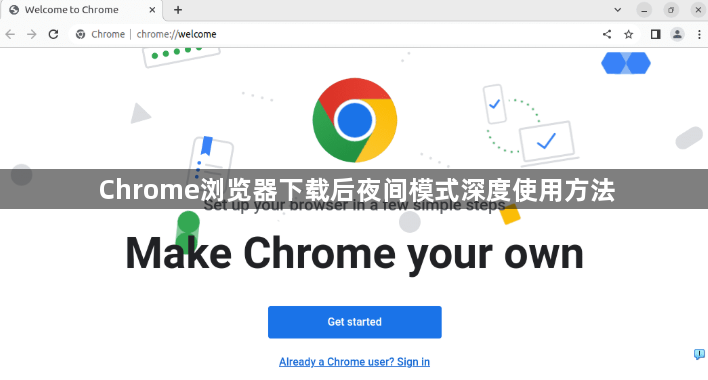 Chrome浏览器下载后夜间模式深度使用方法1