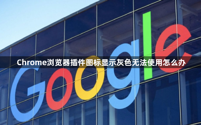 Chrome浏览器插件图标显示灰色无法使用怎么办1