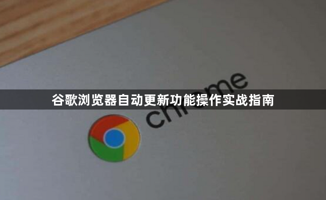 谷歌浏览器自动更新功能操作实战指南1